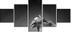 49654340