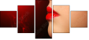 49940645