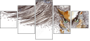 50509602