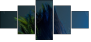 50564432