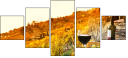 50713543