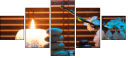 50934171