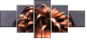 51430961