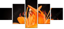 51668124
