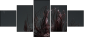 52116617