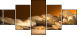 52670728