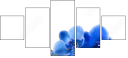 52702119