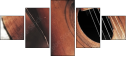 52752470