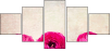 52805750