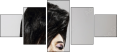 52842580