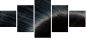 52931906