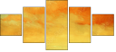 53049559