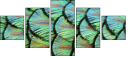 53512479