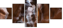 53751853