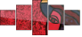 53800770