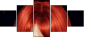 53895849