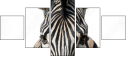 53992144