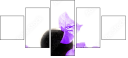 54154961