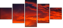 54554863