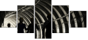54870569