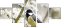 54886078