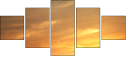 54974402