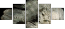 55066305