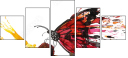 55217486
