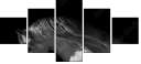 55501476