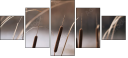 55661015