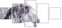 55806223