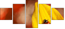 55820987