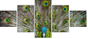 55839349