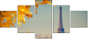 55873344
