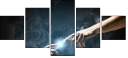 55886651