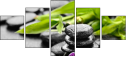56688548