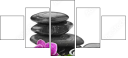 56689552