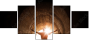 56940386