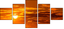 57016161