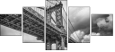 57021622