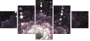 57185040