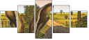 57328279