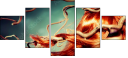 57362714