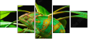 57907029