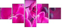 58002130