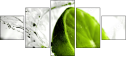 58535251