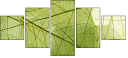 58647115