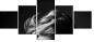 58705796