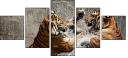 58756900
