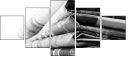 58912446